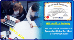 HSE auditor training